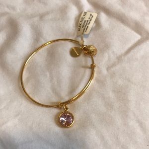 Alex and Ani Amethyst birthstone bracelet